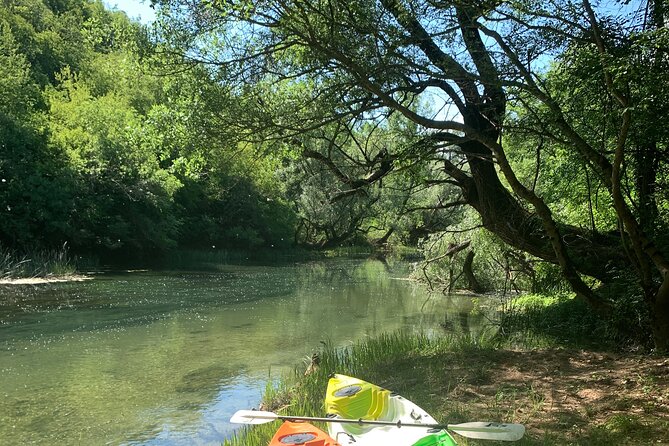 Discovery Kayak Adventure: Magical river experience near Mostar - Mostar to Vrelo Bunice, the kind of nature stop you can actually enjoy