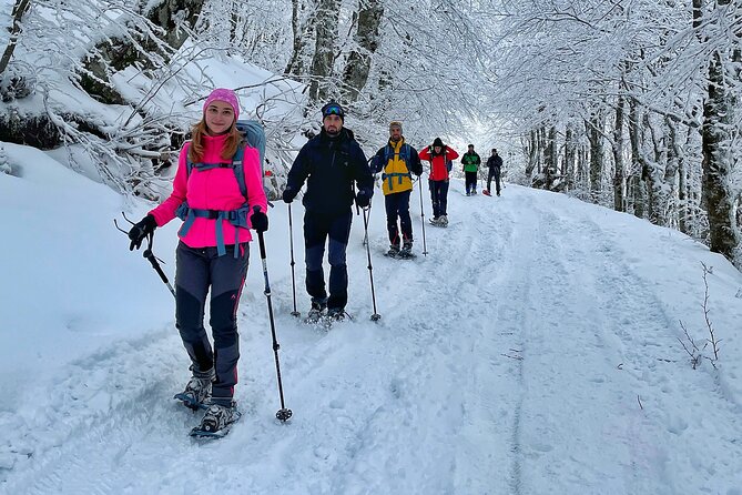 Experience Snowshoeing in Olympic Mountain Bjelašnica - The Kolijevka route: 6 km, altitude gain, and why it matters