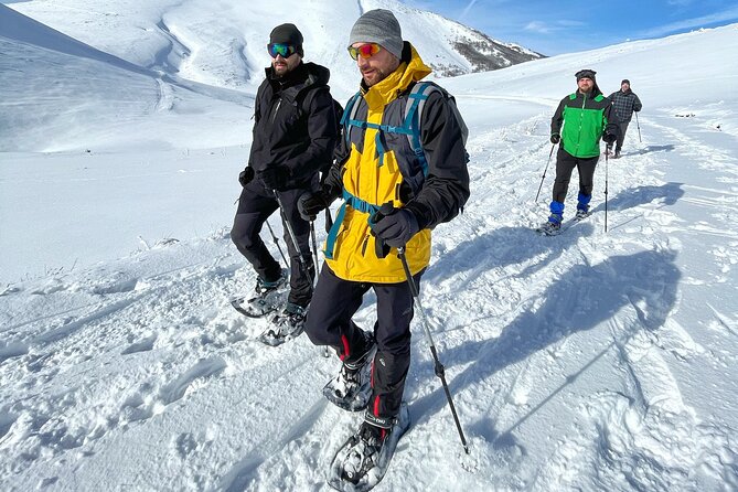 Experience Snowshoeing in Olympic Mountain Bjelašnica - The stop that sells the experience: edge-of-Bjelašnica viewpoints