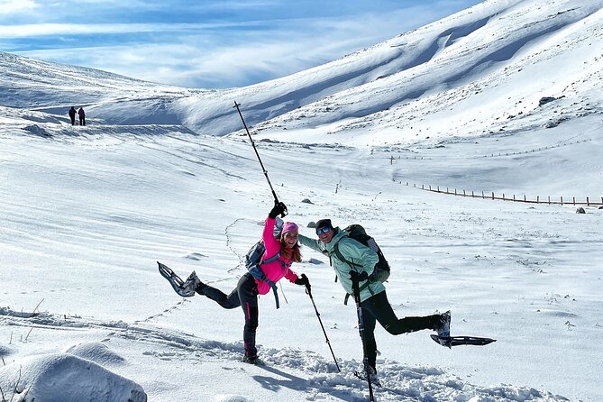 Experience Snowshoeing in Olympic Mountain Bjelašnica - What the guide actually does besides point at mountains