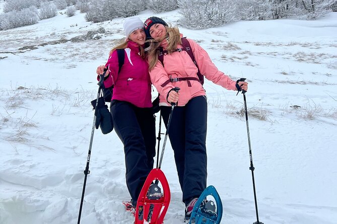 Experience Snowshoeing in Olympic Mountain Bjelašnica - Price check: why $95.31 can be good value here