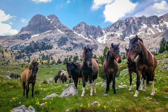Hiking between Bosnia and Herzegovina - Key things to know before you lace up