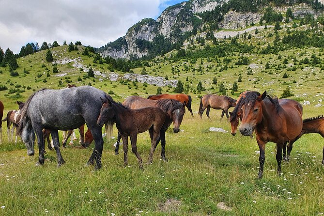 Hiking Prenj, Velika Kapa - Who this hike suits best, and who should think twice