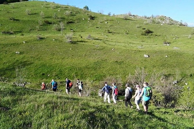 Lukomir Nomad Village Hiking from Sarajevo - Local Lunch Included - The Lukomir experience: real homemade lunch, coffee, and picking seasons