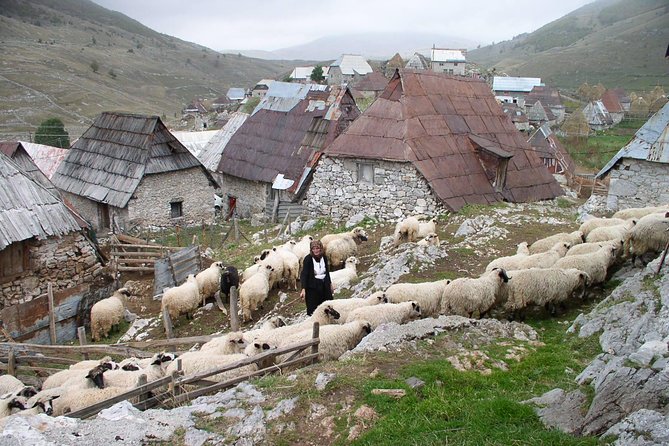Mountain Village Lukomir Full Day Adventure Tour - How the Sarajevo-to-Lukomir day actually plays out