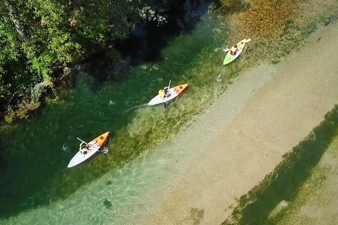 Safari kayak adventure w BBQ & Beer - Key highlights you should know before you go
