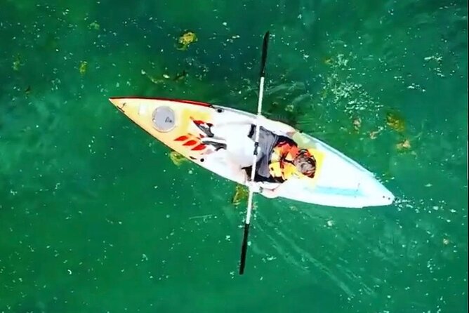 Safari kayak adventure w BBQ & Beer - Stop 1 at Cold River Camp: orientation, then straight to the fun