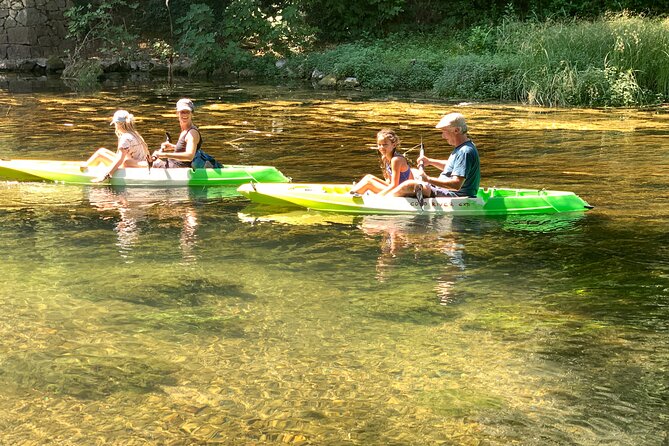 Safari kayak adventure w BBQ & Beer - Price and value: what $52.68 buys in the real world