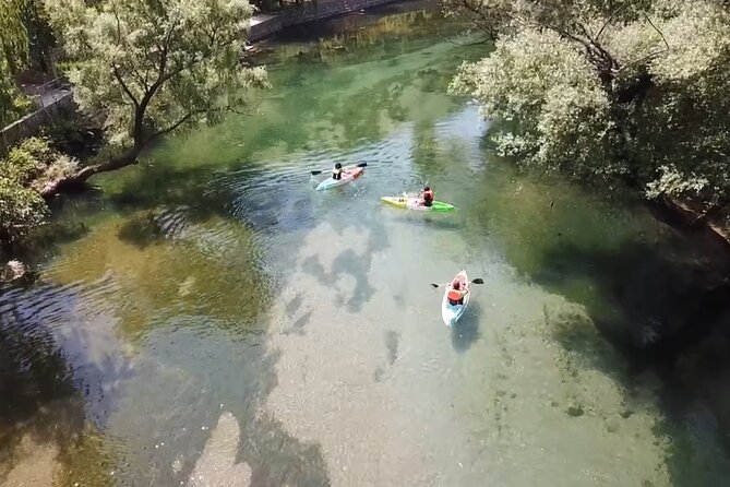 Safari kayak adventure w BBQ & Beer - What the reviews consistently point to, and how that helps you plan