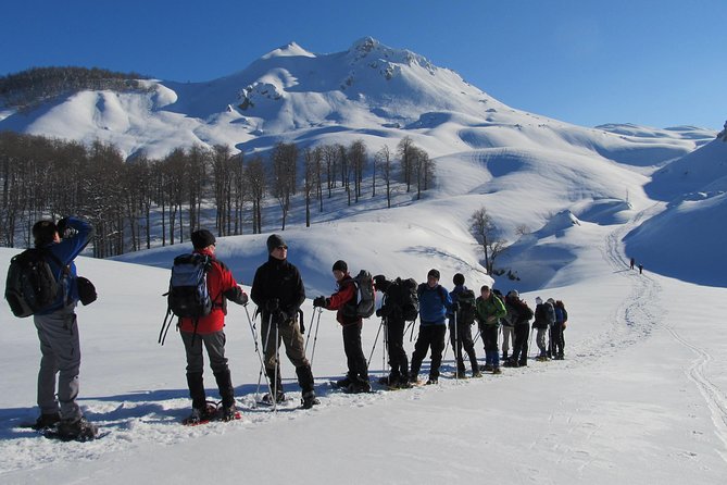 Sarajevo Snowshoeing Adventure - Strap on snowshoes, then follow the beech forest trails