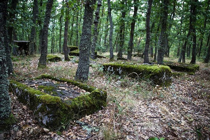 Sarajevo to/from Belgrade UNESCO Transfer Day Tour (Fees Incl.) - Border crossing and Drvengrad (Küstendorf): a movie set that actually won awards