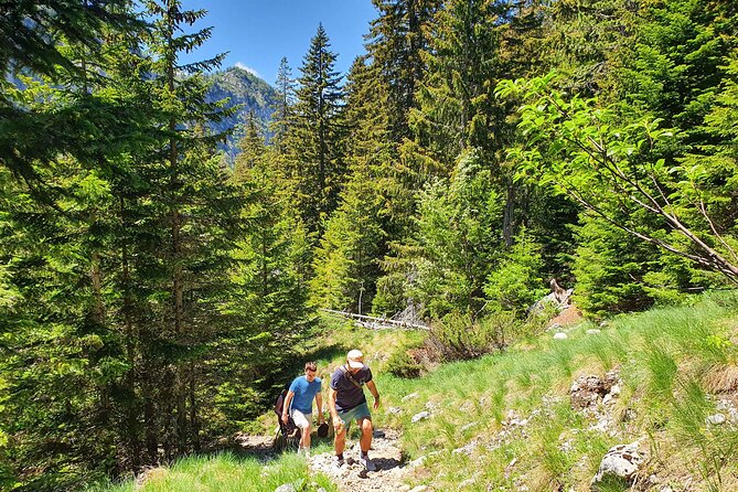 Sutjeska National Park Hike from Sarajevo - Trnovačko Lake: picnic lunch by the water, with a swim option